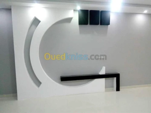Placoplâtre faux plafond BA13