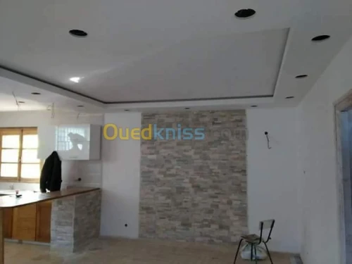 rénovation et réalisation des maisons 