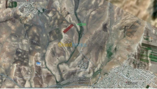 Vente Terrain Agricole Setif Ain arnat