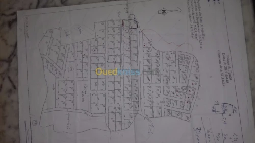 Vente Terrain Tipaza Sidi amar