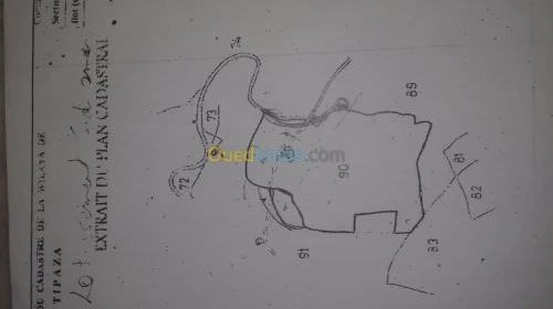 Vente Terrain Tipaza Sidi amar