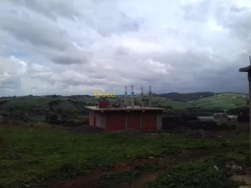 Vente Terrain Tipaza Sidi amar