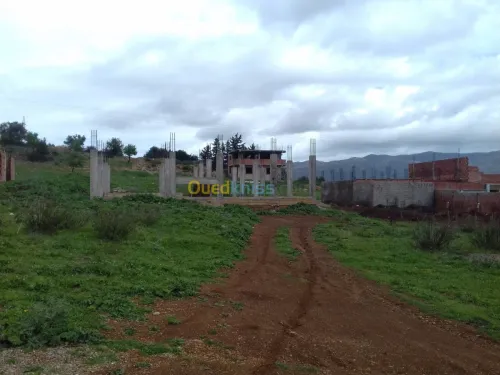 Vente Terrain Tipaza Sidi amar