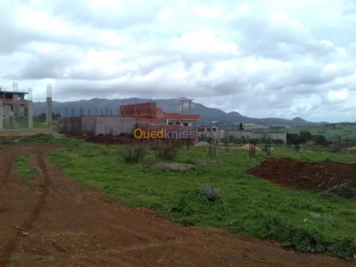 Vente Terrain Tipaza Sidi amar