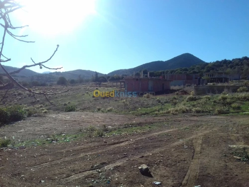 Vente Terrain Tipaza Sidi amar
