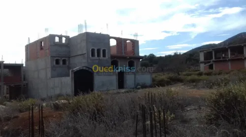 Vente Terrain Tipaza Sidi amar