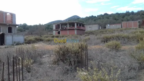 Vente Terrain Tipaza Sidi amar