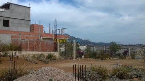Vente Terrain Tipaza Sidi amar