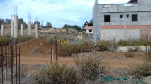 Vente Terrain Tipaza Sidi amar