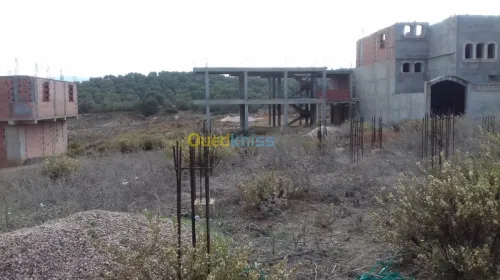 Vente Terrain Tipaza Sidi amar