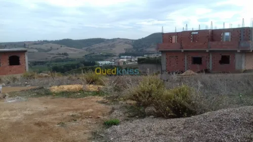 Vente Terrain Tipaza Sidi amar