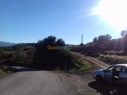 Vente Terrain Tipaza Sidi amar