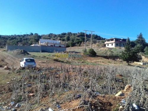Vente Terrain Tipaza Sidi amar