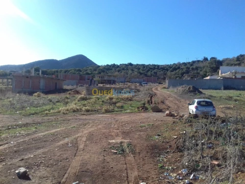 Vente Terrain Tipaza Sidi amar