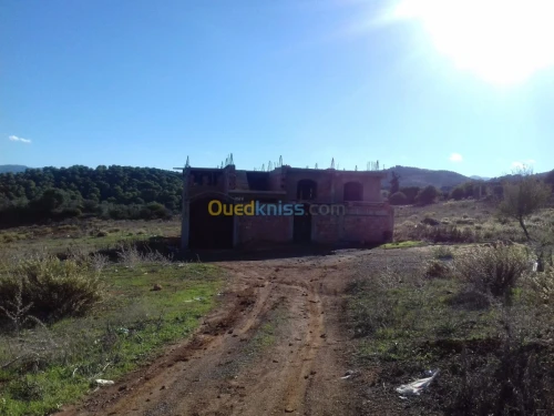 Vente Terrain Tipaza Sidi amar