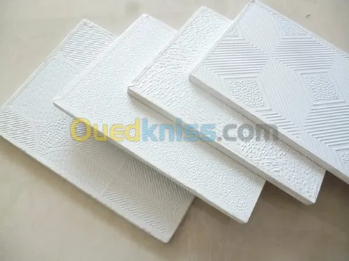 Vente Faux Plafond Demontable 60 X 60 