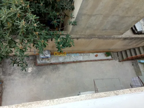 Vente Immeuble Jijel Jijel