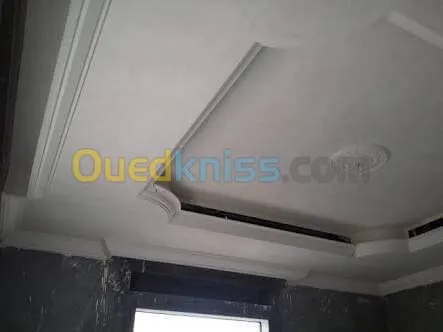 platre et placoplatre et pvc