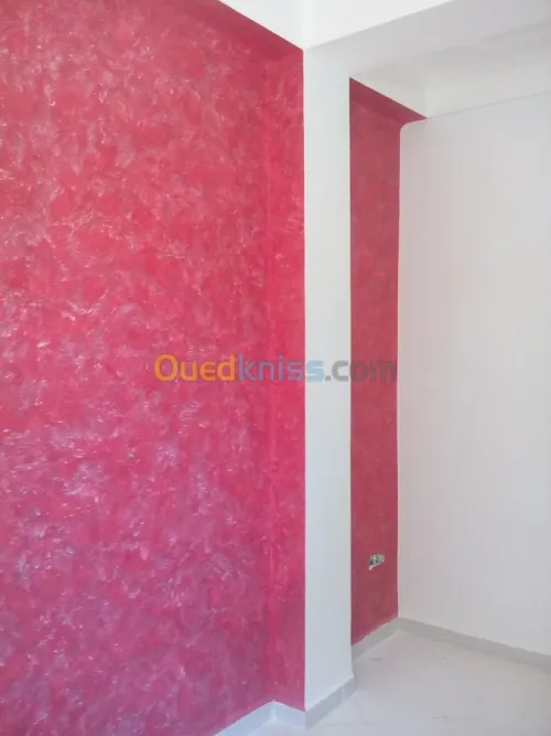 Réhabilitation /Rénovation / décoratio