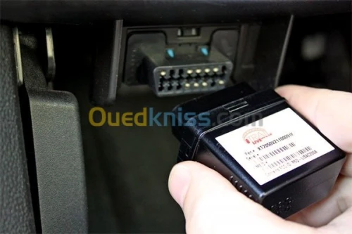  auto & Diagnostic