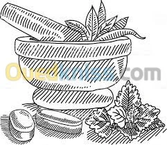 Formation Naturopathie