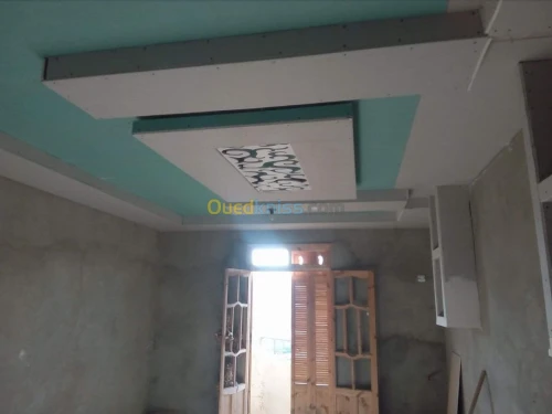 Faux plafond pvc et placo platre 