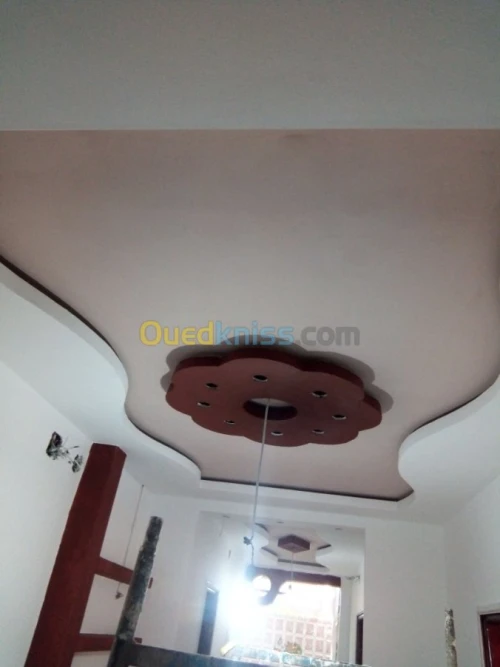 Faux plafond pvc et placo platre 
