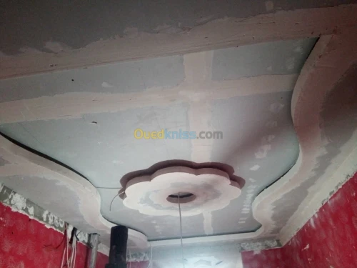 Faux plafond pvc et placo platre 