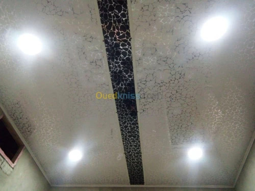 Faux plafond pvc et placo platre 