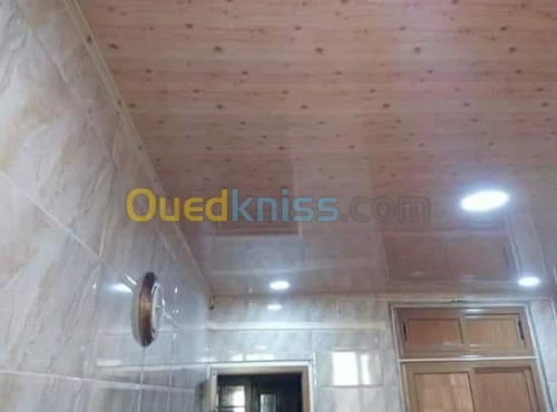 Faux plafond pvc et placo platre 