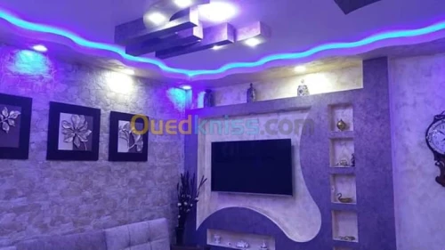 Faux plafond pvc et placo platre 