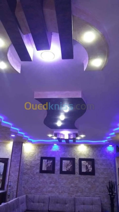 Faux plafond pvc et placo platre 