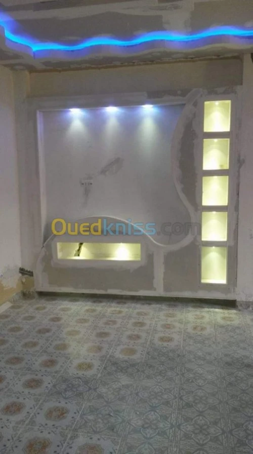 Faux plafond pvc et placo platre 