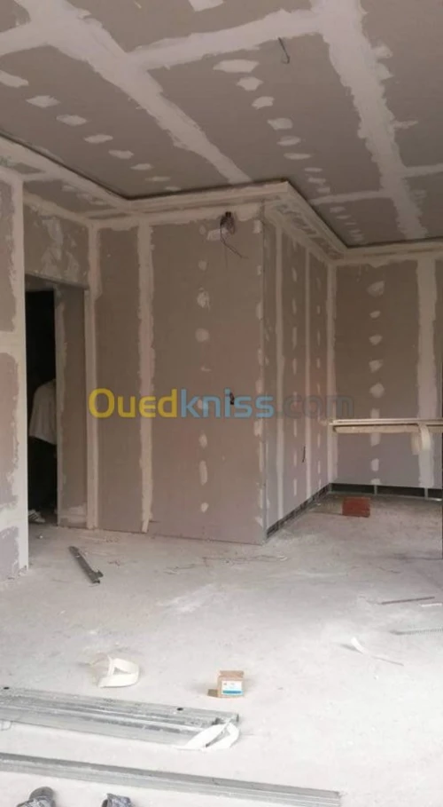 Faux plafond pvc et placo platre 