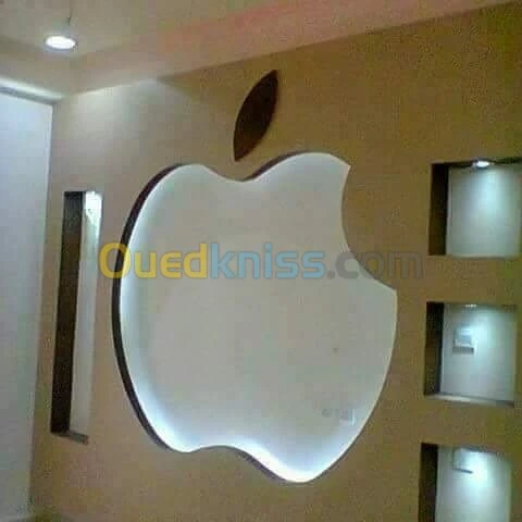 Faux plafond pvc et placo platre 