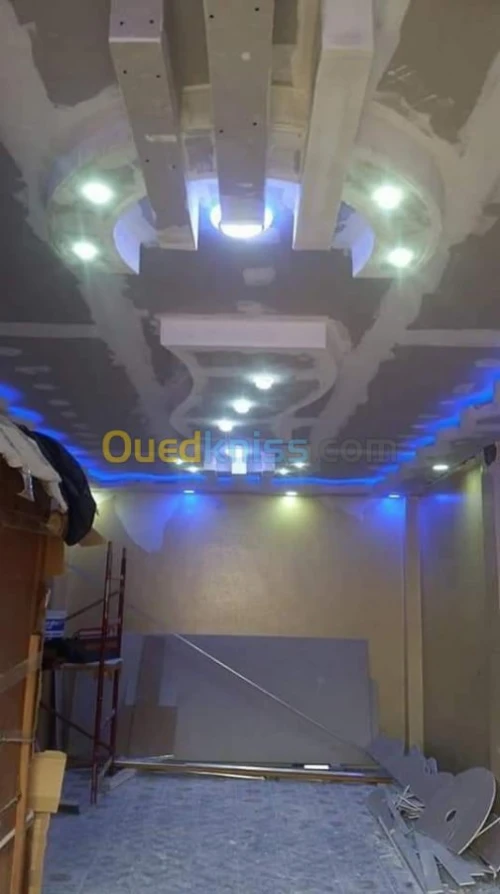 Faux plafond pvc et placo platre 