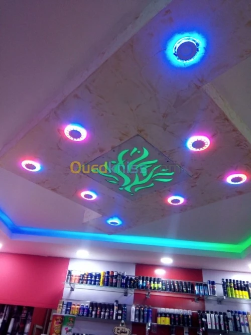 Faux plafond pvc et placo platre 