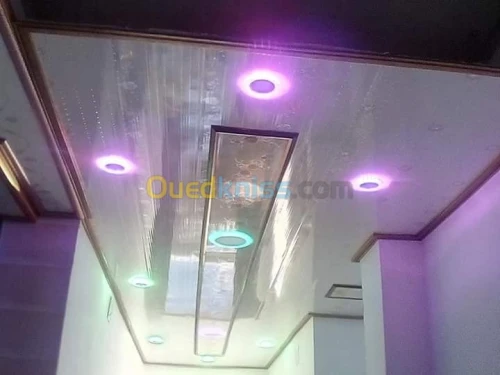 Faux plafond pvc et placo platre 