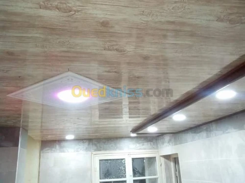 Faux plafond pvc et placo platre 