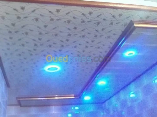 Faux plafond pvc et placo platre 