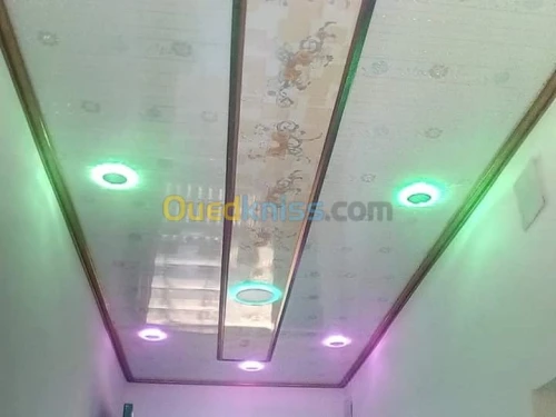 Faux plafond pvc et placo platre 