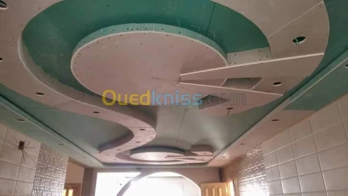 Faux plafond pvc et placo platre 