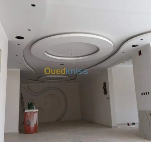 Faux plafond pvc et placo platre 