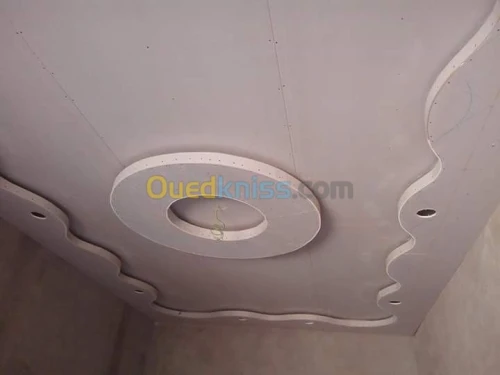 Faux plafond pvc et placo platre 