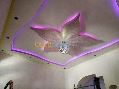 Faux plafond pvc et placo platre 