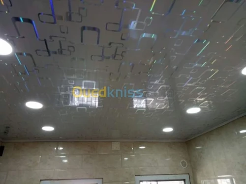 Faux plafond pvc et placo platre 
