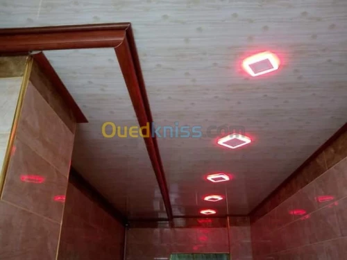 Faux plafond pvc et placo platre 