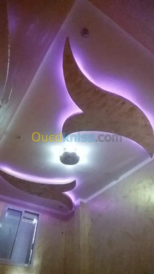 Faux plafond pvc et placo platre 