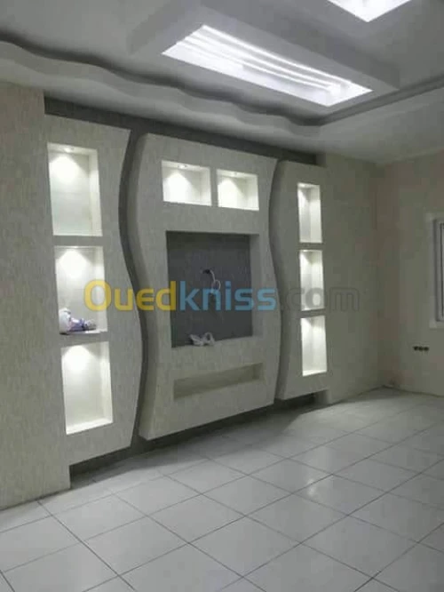 Faux plafond pvc et placo platre 