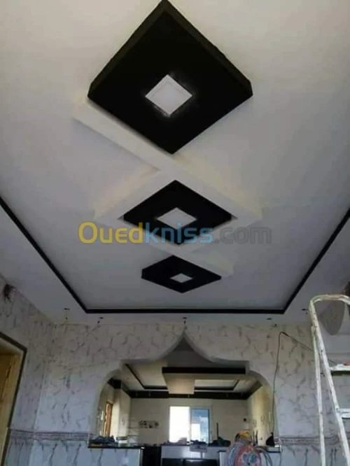 Faux plafond pvc et placo platre 